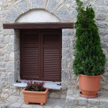 αντίρρινο - *