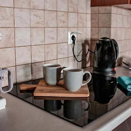 αντίρρινο -