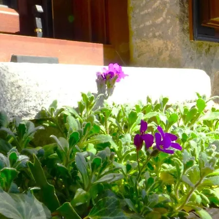 Διαμέρισμα αντίρρινο - Αράχωβα